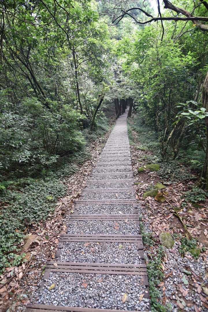 陽明山大縱走----東段
