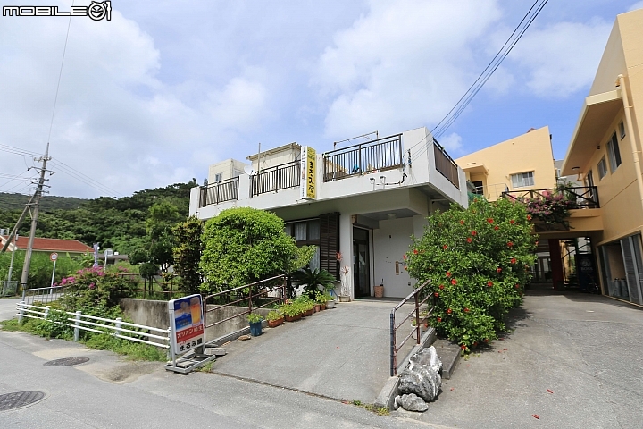 【沖繩自由行-離島】座間味島與海龜伴游