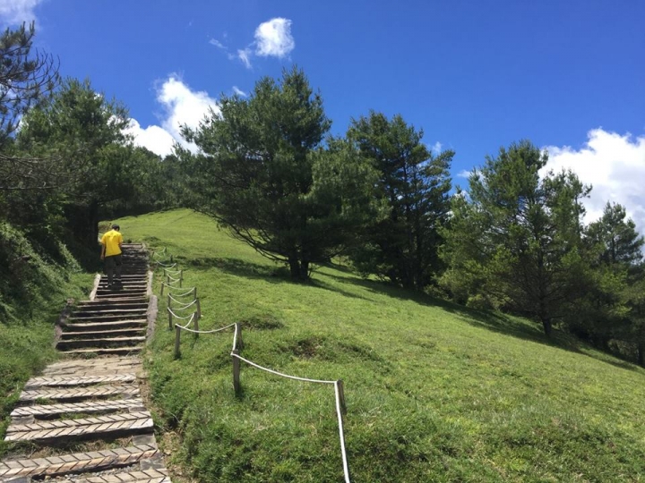 1050704 塔塔加麟趾山輕鬆健行