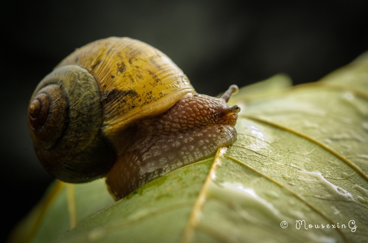 [微觀世界]不定期更新