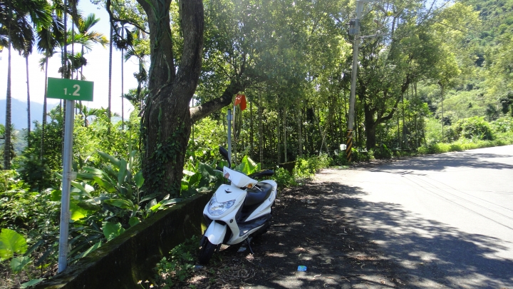 2016-06-25芒果出任務 之 信義鄉「人和波石聯絡道路」到「雙龍瀑布」