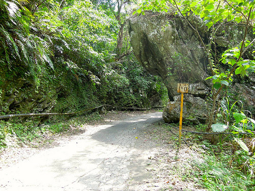 [走跳] 花蓮四天三夜小旅行 - 慕谷慕魚生態迴廊，青翠的藍綠色仙境，全程步行入山（2016）