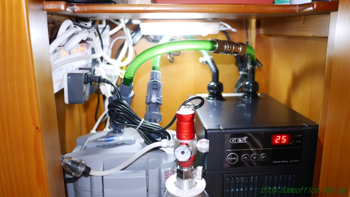 [分享] 1.5呎科技魚缸成缸紀錄