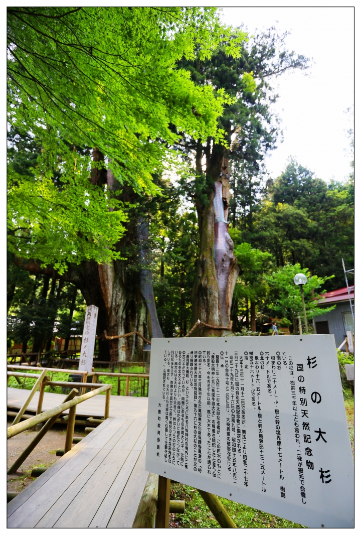 [SKYWAVE TYPE-S]日本四國環島之旅(PART-4)「愛媛―香川」