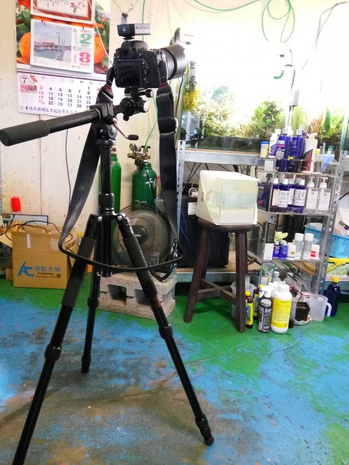 微距拍攝的腳架該如何選購？(已解決並同步分享Velbon V4-UNIT 懸臂)