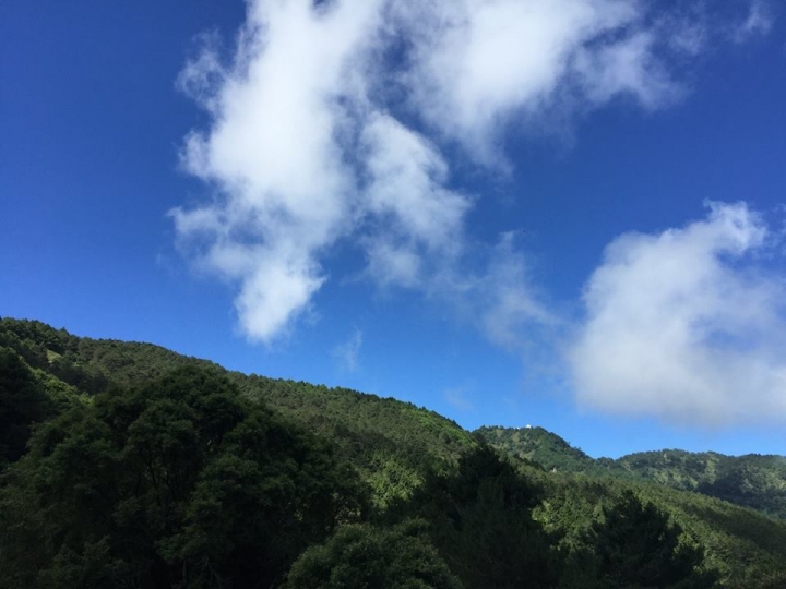1050704 塔塔加麟趾山輕鬆健行