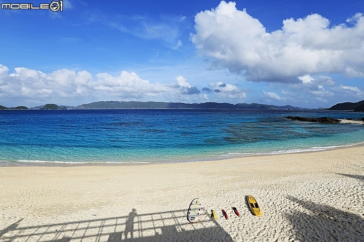 【沖繩自由行-離島】座間味島與海龜伴游