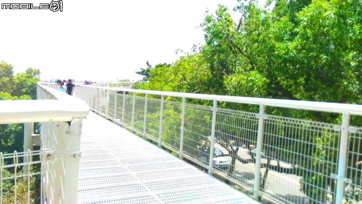 彰化八卦山天空步道 散步遊