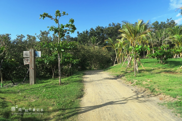 高雄~旗津海珍珠