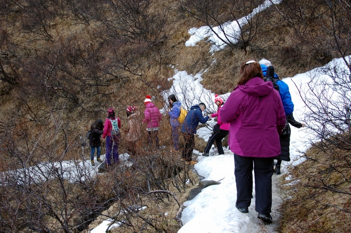 北歐蜜月旅行 - South Coast Winter Tour < Day 2-4 >