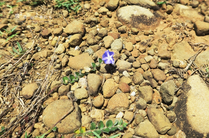 墾丁美麗海灣遊走~南灣 船帆石 砂島 龍磐公園 滿州沙灘 滿州港口吊橋 恆春出火