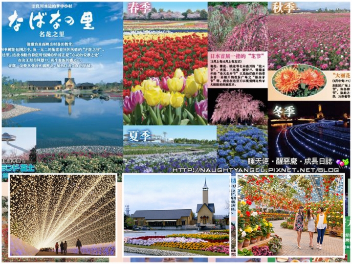 【中部國際機場】伊勢、志摩、鳥羽&三重縣精選52處之夢想達陣親子景點必爬文篇