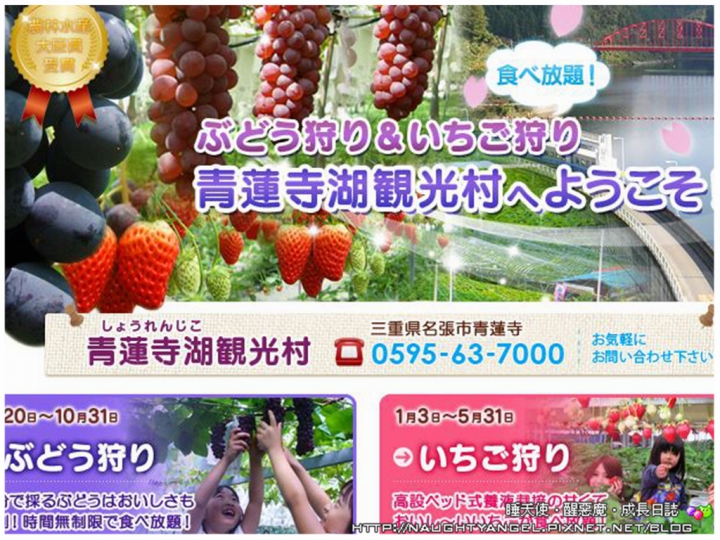 【中部國際機場】伊勢、志摩、鳥羽&三重縣精選52處之夢想達陣親子景點必爬文篇