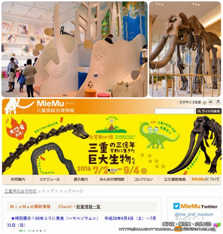 【中部國際機場】伊勢、志摩、鳥羽&三重縣精選52處之夢想達陣親子景點必爬文篇