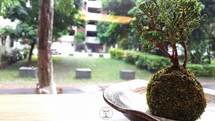 近古亭站✰在欉紅本舖✰台灣水果食材入甜品，檸檬塔酸V微甜像初戀般悸動