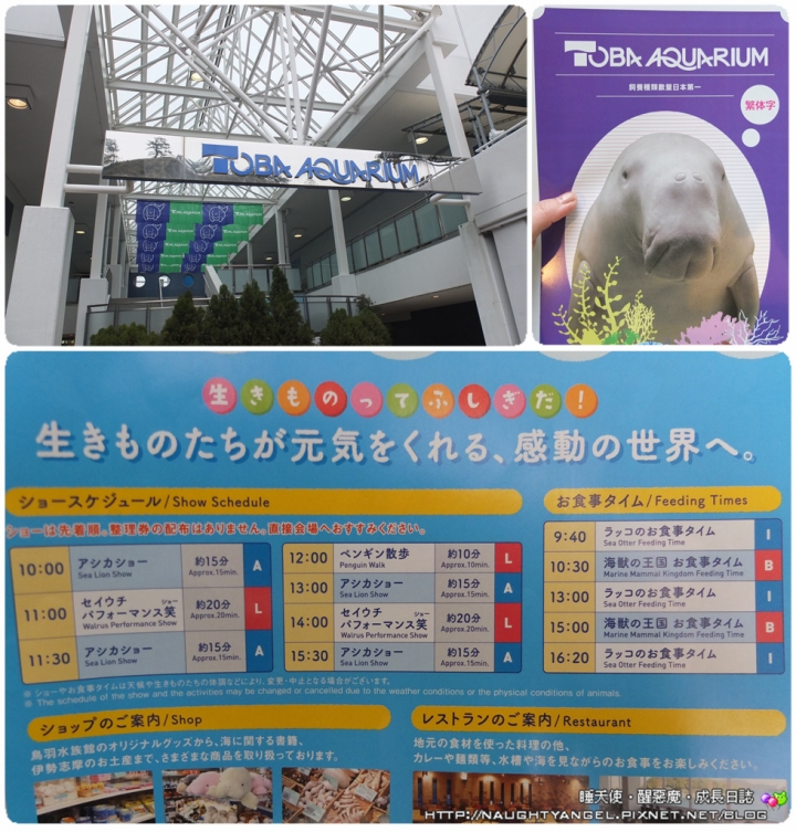 【中部國際機場】伊勢、志摩、鳥羽&三重縣精選52處之夢想達陣親子景點必爬文篇