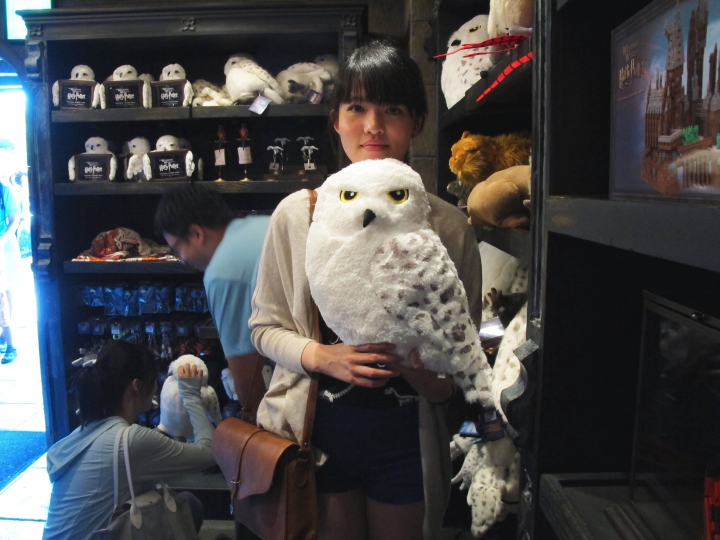 【Osaka．走跳】大阪環球影城15週年_百去不厭的大人版Wonderland