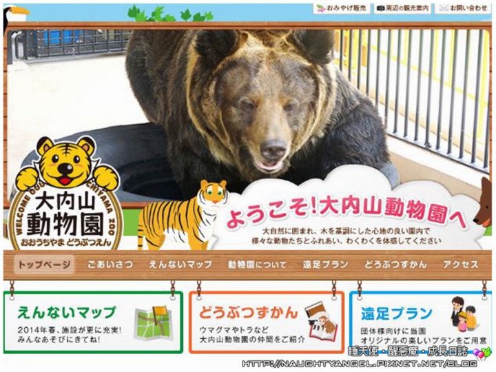 【中部國際機場】伊勢、志摩、鳥羽&三重縣精選52處之夢想達陣親子景點必爬文篇