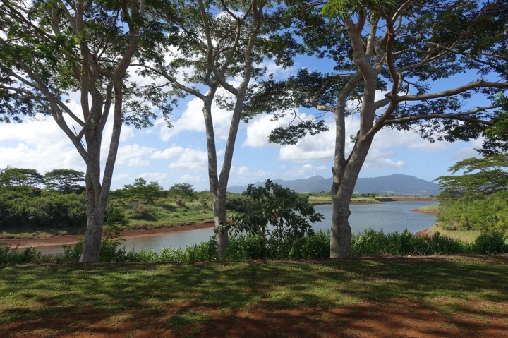 夏威夷歐胡島：海灘的呼喚