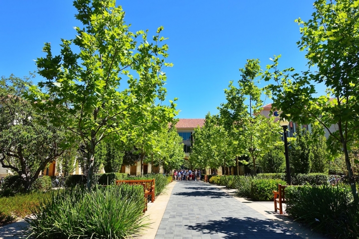 全美最難進的大學—史丹佛大學