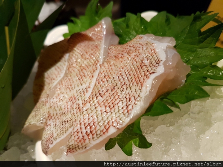 台北大安 『大安9號鍋物。日本料理』體驗分享