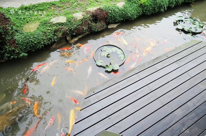 宜蘭頭城~網元漁坊 無菜單料理