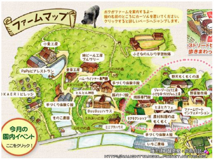 【中部國際機場】伊勢、志摩、鳥羽&三重縣精選52處之夢想達陣親子景點必爬文篇