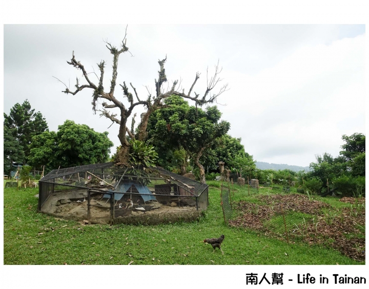 【台南東山區-景點】幸福小農場│無邊際戲水池~~仙湖休閒農場(住宿.美食.山景.咖啡)