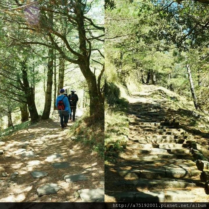 [南投]麟趾山