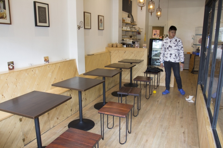 曼谷。little zoo cafe'。小動物愛裸體