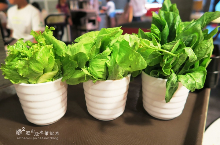 台北~可利亞石頭火鍋吃到飽