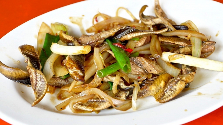 [台南][新營區] 陳記鱔魚麵