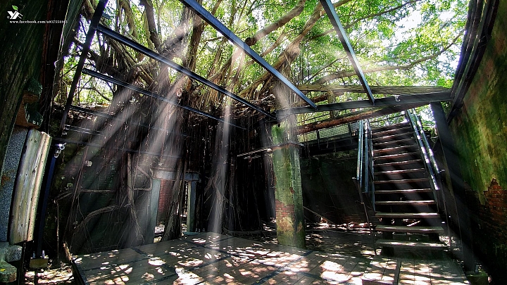 (第67批圖) LG G4 &G5&V10 日夜拍研究團 精選作品2016.8.7