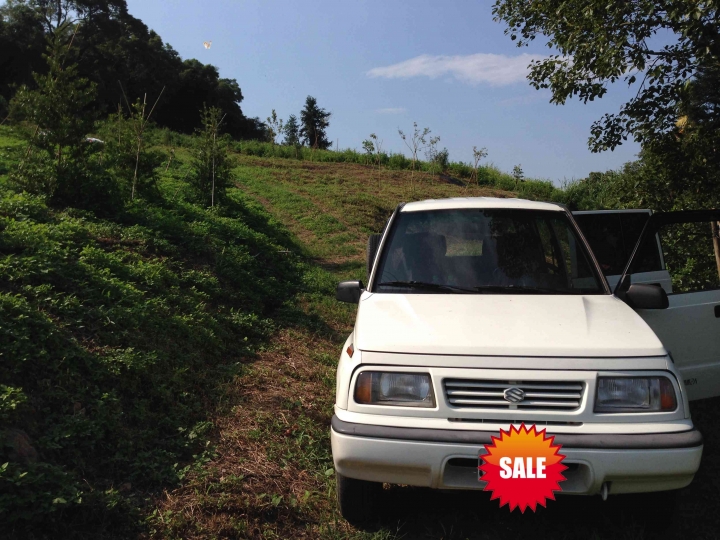 準備買2016 VITARA 4WD