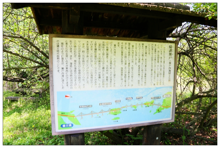 [SKYWAVE TYPE-S]日本四國環島之旅(PART-5)「香川―東京」