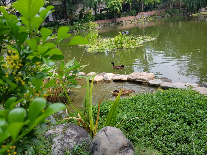 NOTE7 初完景深拍照 獻醜了