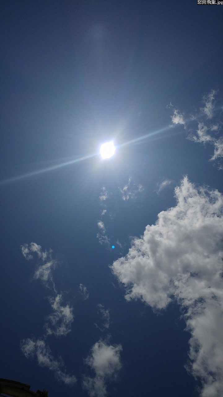 (第67批圖) LG G4 &G5&V10 日夜拍研究團 精選作品2016.8.7