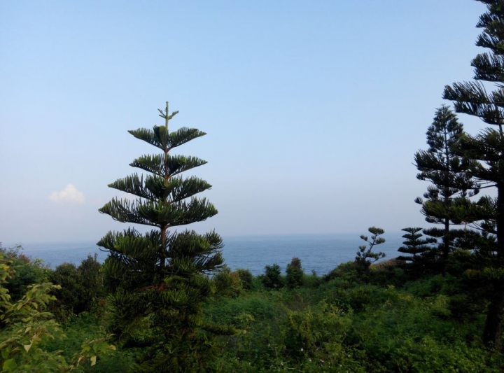 小琉球環島路跑