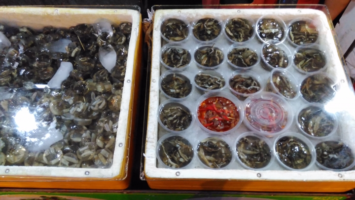 土笋凍 廈門街邊美食