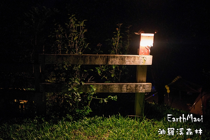 新竹尖石 油羅溪森林首露