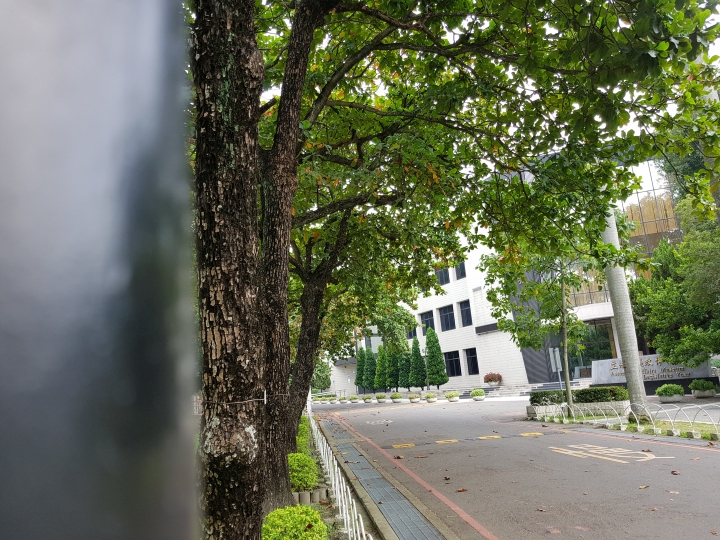NOTE7 初完景深拍照 獻醜了