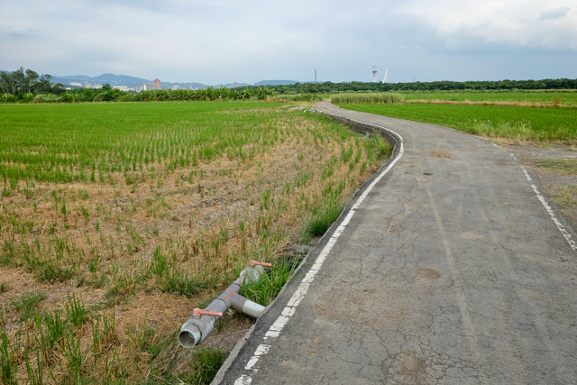 台北市僅存的稻田風光：關渡平原與觀音山日落