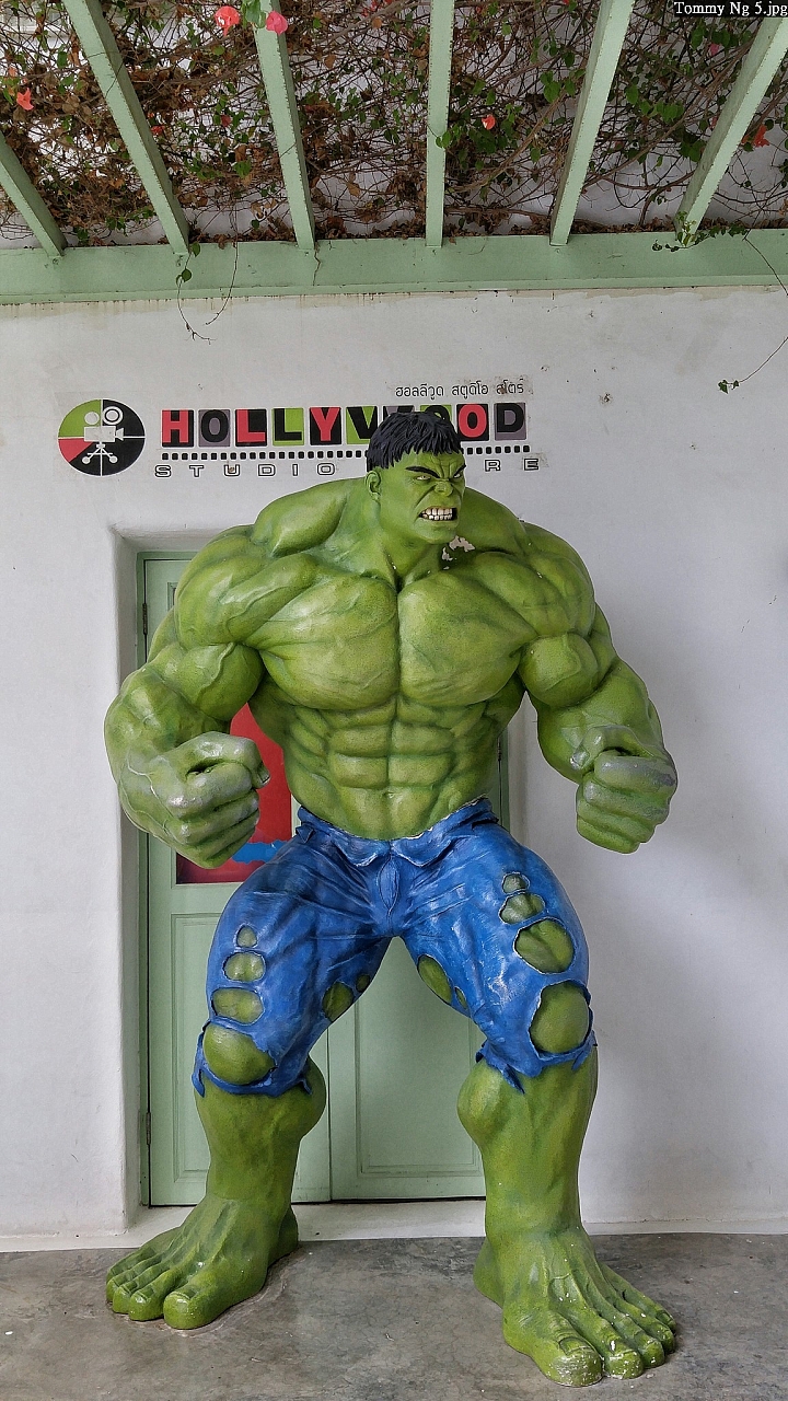 (第67批圖) LG G4 &G5&V10 日夜拍研究團 精選作品2016.8.7