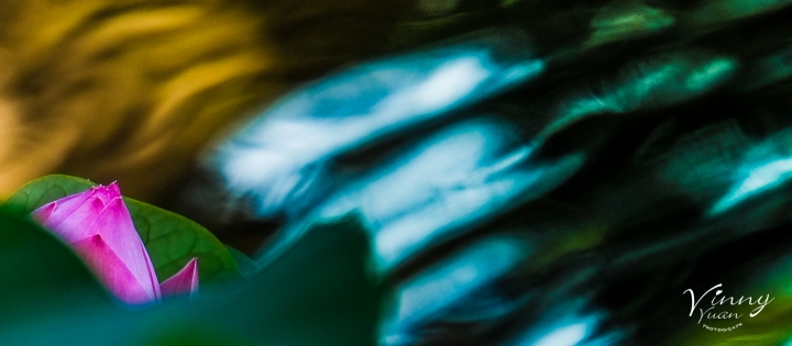 Xpro1與55-200 mm 之 華山話荷不論劍