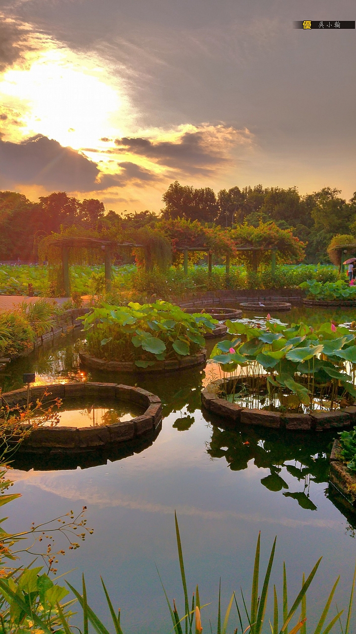 (第67批圖) LG G4 &G5&V10 日夜拍研究團 精選作品2016.8.7