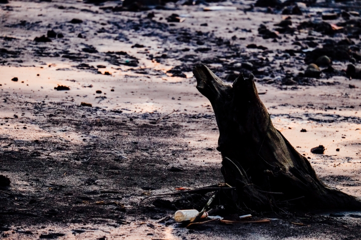 富士Ｘpro1與55-200mm大稻埕小旅行