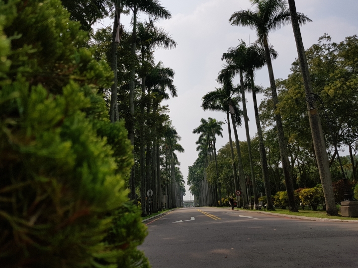 NOTE7 初完景深拍照 獻醜了