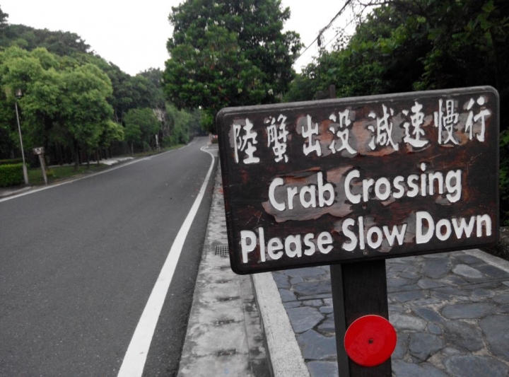 小琉球環島路跑