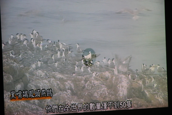 福州、馬祖追藍眼淚四日遊(第二日)