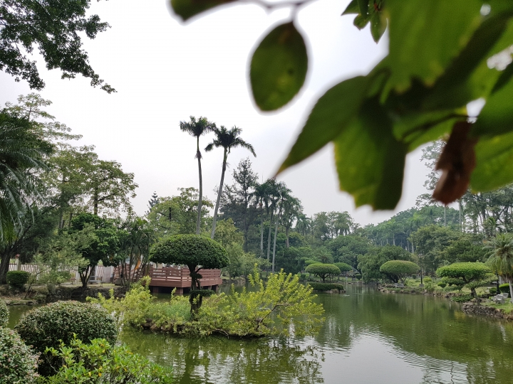NOTE7 初完景深拍照 獻醜了
